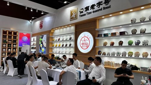 廣州秋季茶博會首日盛況 云南云墾茶業(yè)展位人氣爆棚，展覽服務(wù)亮點(diǎn)紛呈
